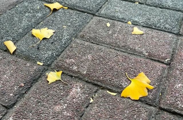 1204_104721_804.jpg 3.jpg