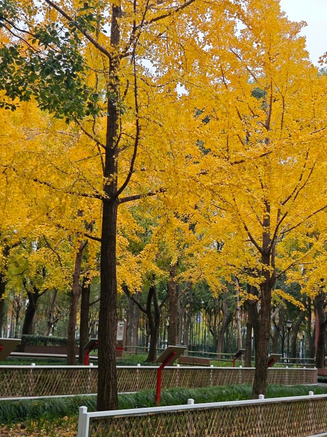 1216_131259_143.jpg 微信图片_2024-12-16_130612_016.png