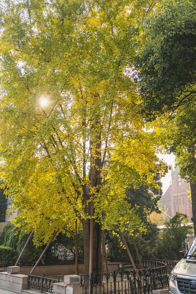 1216_150256_498.jpg 微信图片_2024-12-16_135329_657.png