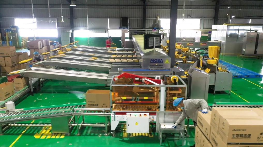 2025021742f4dbd75a024d5a93d6a10aef731509_ec886f61915f4224a9e1027427e37c24.jpg 2025021742f4dbd75a024d5a93d6a10aef731509_ec886f61915f4224a9e1027427e37c24.jpg