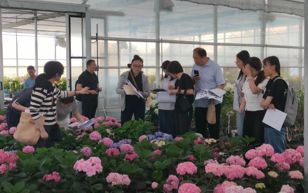 2025国家林草植物新品种DUS 测试技术研讨培训会在上海成功举办4.jpg