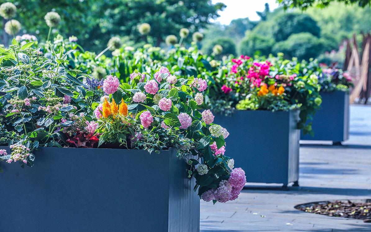 1、广场 1.jpg 1、广场 1.jpg