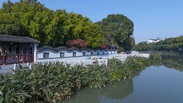 冬日“沪”水游，青浦新城：冬境绮梦，水韵流长