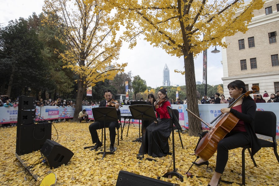 “银杏音乐会”在上海音乐厅南广场西侧银杏林举行。记者 赖鑫琳 摄(资料照片).jpeg “银杏音乐会”在上海音乐厅南广场西侧银杏林举行。记者 赖鑫琳 摄(资料照片).jpeg