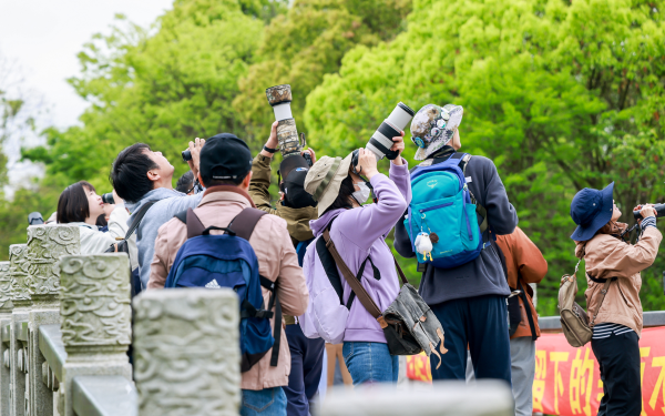 上海市第21届市民观鸟大赛圆满落幕3.png