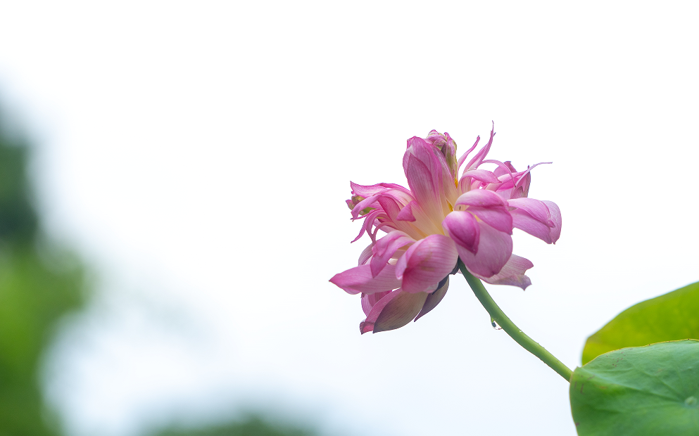 微信图片_20240703134641.png 微信图片_20240703134641.png