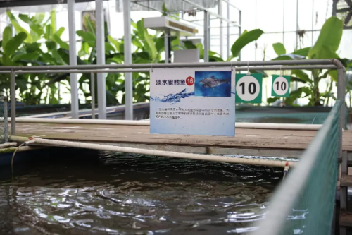 20240814110154780_60305504.png 20240814110154780_60305504.png