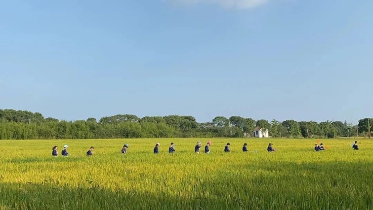 香满秋·一起游丨去青浦来场CountryWalk，遇见金秋盛景！