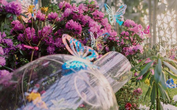 花凝光韵 (2).jpg 花凝光韵 (2).jpg