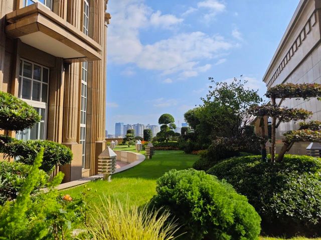 1119_122610_690.jpg 微信图片_20241119122616.jpg