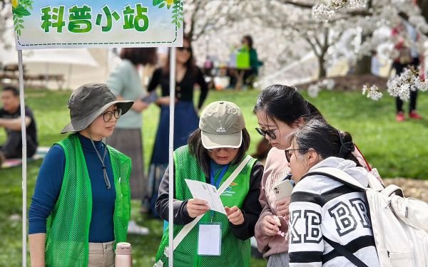 樱花定点科普讲解 (2).jpg 樱花定点科普讲解 (2).jpg