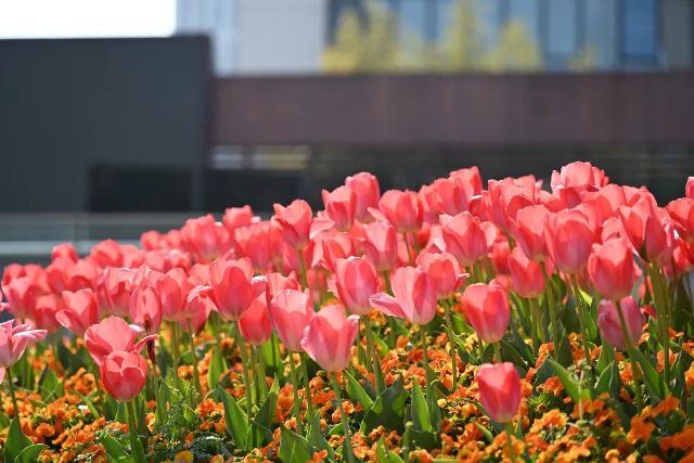 0324_125948_715.jpg 微信图片_2025-03-24_130022_487.jpg