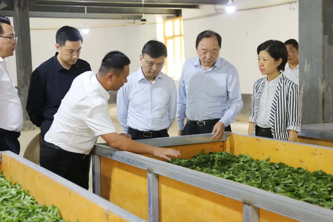 20240913100610075923.jpg 20240913100610075923.jpg