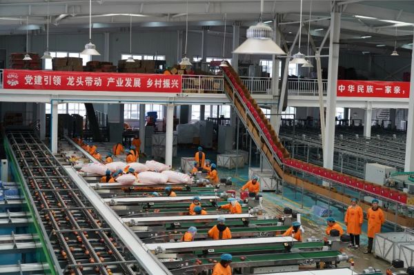 1031_134626584_382.jpg 20241031_134447_002.jpg