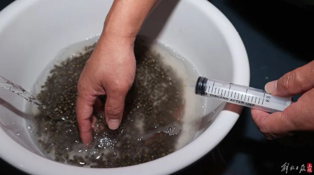 屏幕捕获_2024_10_10_09_26_42_949.png 屏幕捕获_2024_10_10_09_26_42_949.png