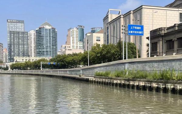 239 (1).jpg 239 (1).jpg