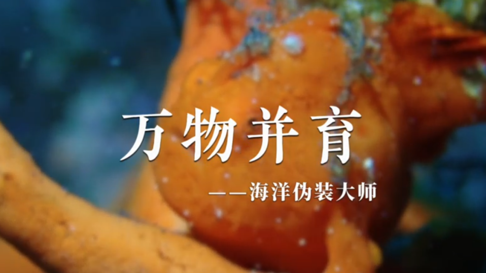 图15.png