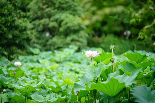 0722_121349_945.jpg 640 (9).jpg