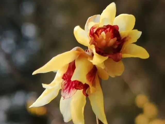 0120_141450_490.jpg 微信图片_2025-01-20_141252_714.png