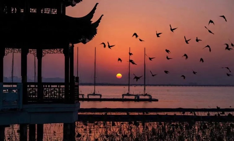 秋水伊人,来青浦,乘坐公共交通邂逅初秋水岸的一缕风凉! 秋水伊人,来青浦,乘坐公共交通邂逅初秋水岸的一缕风凉!