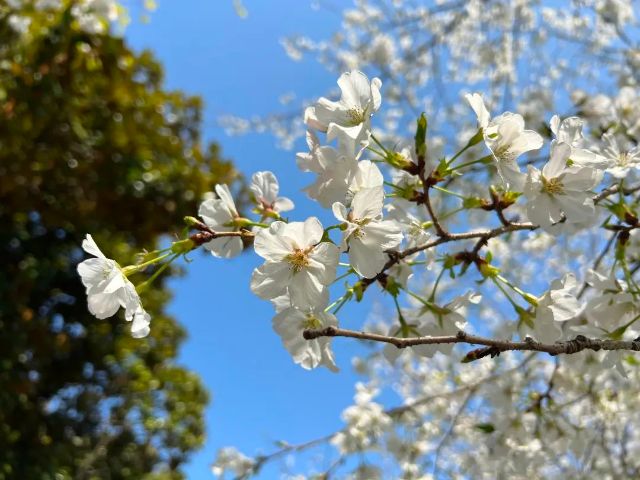 0307_144645_530.jpg 微信图片_2025-03-07_103650_956.jpg