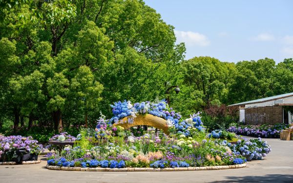 KIR_7549.jpg KIR_7549.jpg