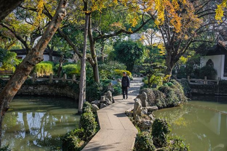 冬日“沪”水游，青浦新城：冬境绮梦，水韵流长