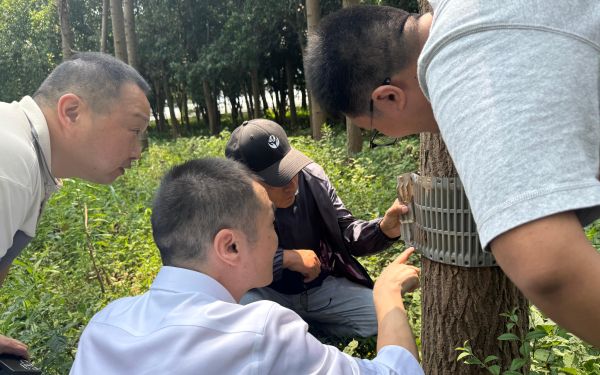 市林业部门开展绿色防控技术成效调查1.jpg