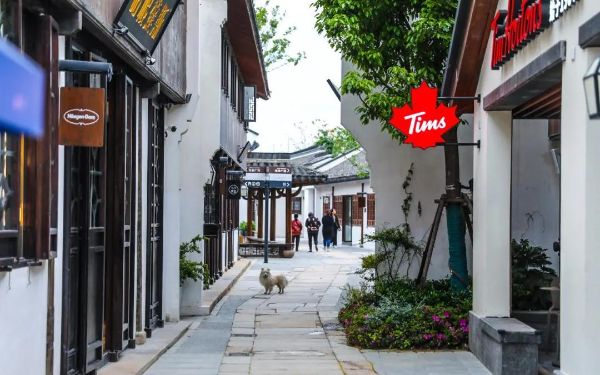 图片4.jpg 图片4.jpg