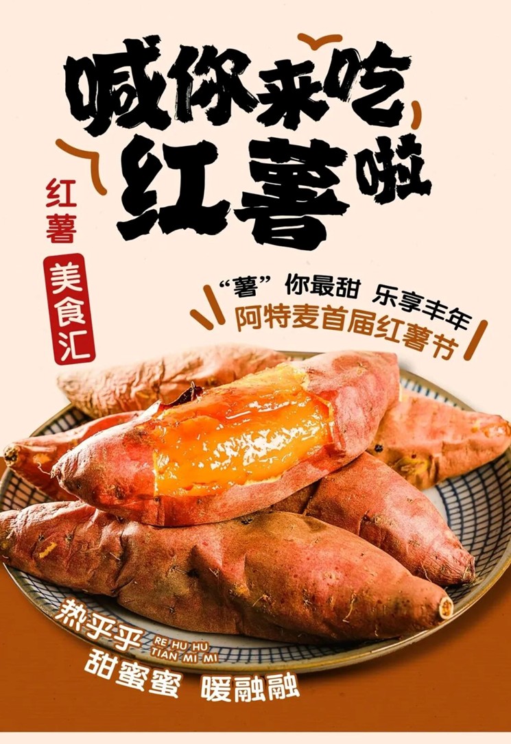 农文旅商体展资讯：青浦区2025年11月活动速览