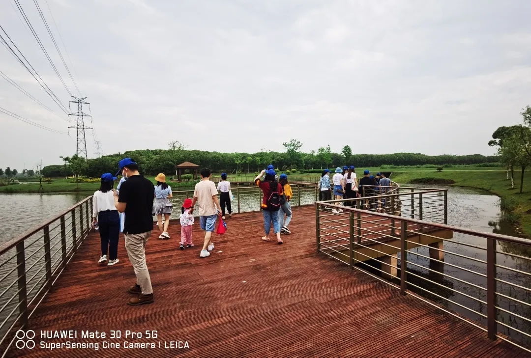 640.webp (1).jpg 640.webp (1).jpg