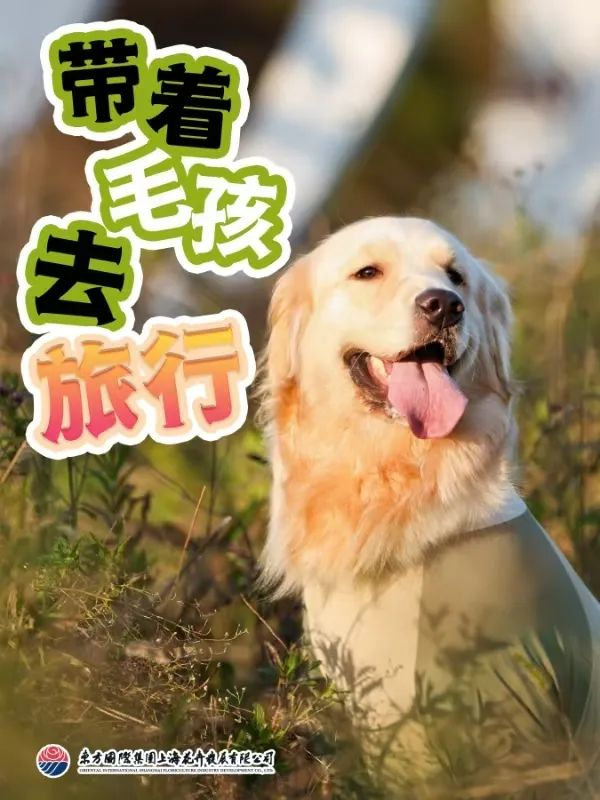 美景美食2748.png 美景美食2748.png