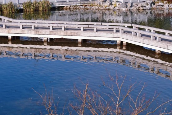 2026逛青浦环城水系公园指南