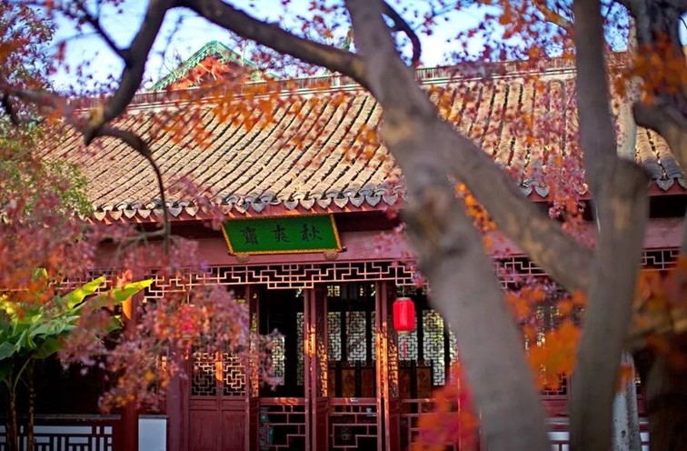 年底前免费!乘微度假巴士游青浦,每一站都有惊喜! 年底前免费!乘微度假巴士游青浦,每一站都有惊喜!