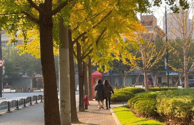 1204_104715_145.jpg 2.jpg