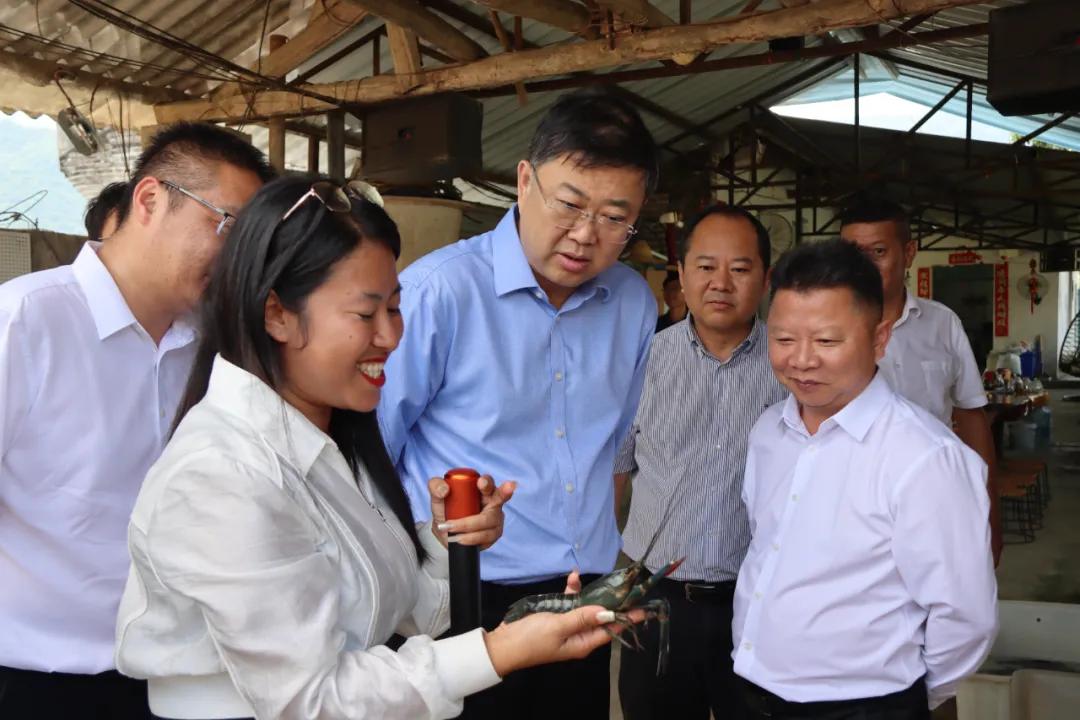 20241012135539016205.jpg 20241012135539016205.jpg