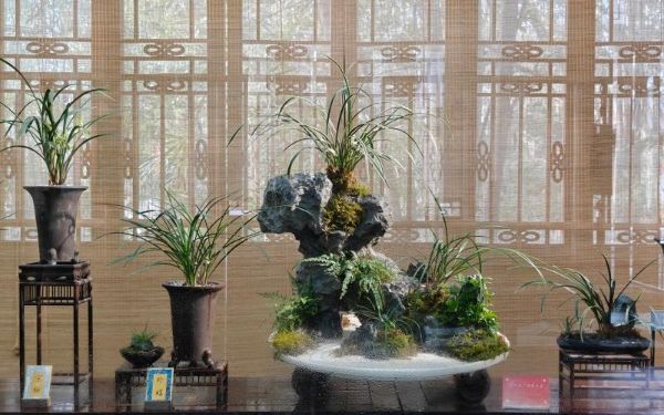 80797e56dd90f1c479d67e0a9e48bbad.jpg 80797e56dd90f1c479d67e0a9e48bbad.jpg