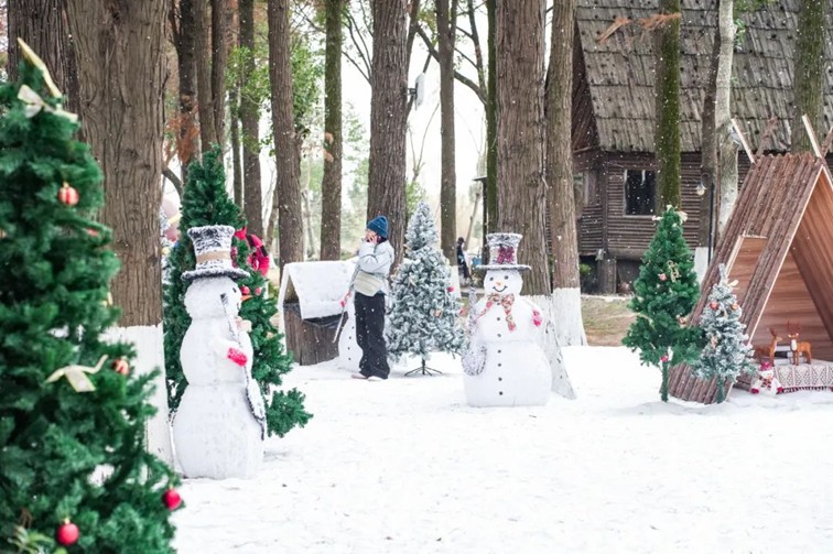 过大年·来青浦丨“蛇”我其谁~青浦近50场新春活动等你“过·来”玩！