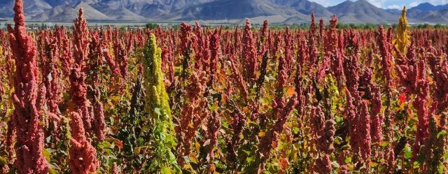 1012_134633_964.jpg 微信图片_20241012105804.jpg