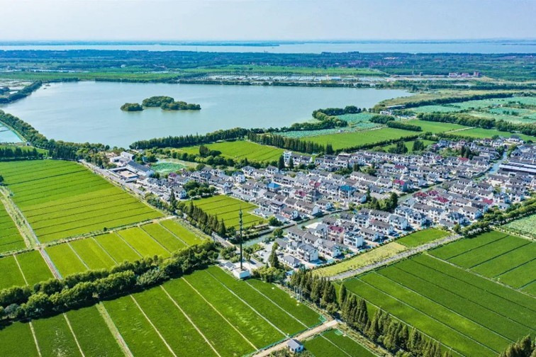 江南春景水一半，12处小流域绘青浦生态美域