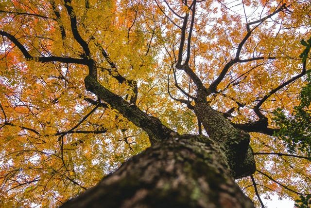 1216_150156_223.jpg 微信图片_2024-12-16_135312_473.png