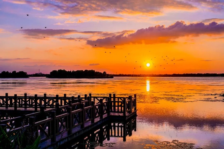 江南春景水一半，12处小流域绘青浦生态美域