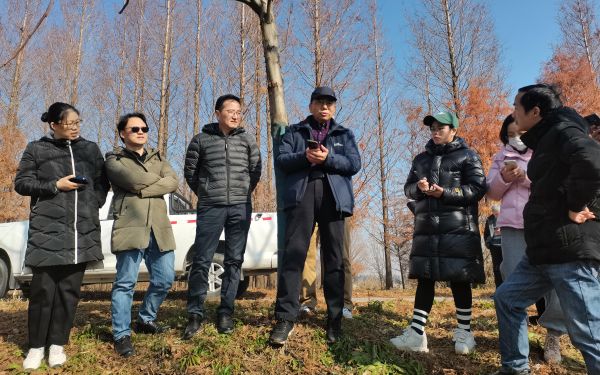 市林业总站携手专家 为上海森林质量提升精准施策1.jpg 市林业总站携手专家 为上海森林质量提升精准施策1.jpg