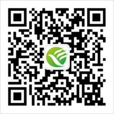 招聘会预告：2024年11月青浦区招聘会排期