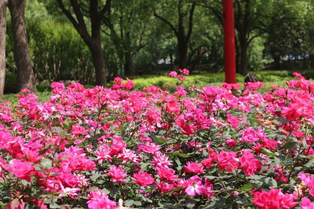 0519_153032_127.jpg 微信图片_2025-05-19_152945_019.jpg