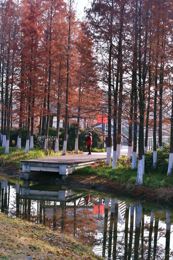 2026逛青浦环城水系公园指南