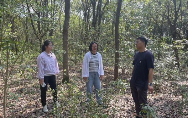 踏查林地定方案 养护指导促提升——城市人工林固碳增汇效能提升4.jpg 踏查林地定方案 养护指导促提升——城市人工林固碳增汇效能提升4.jpg