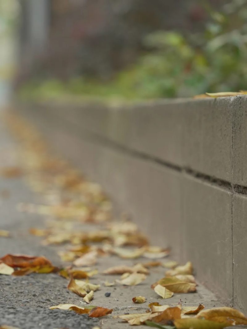 图片 21.png 图片 21.png