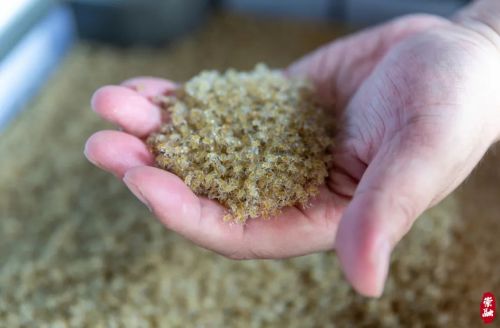 20240719103237089061.jpg 汇聚农业科创新动能,谱写产业发展新篇章!“加快发展农业新质生产力,高标准推进崇明世界级生态岛建设”大会举行3.jpg