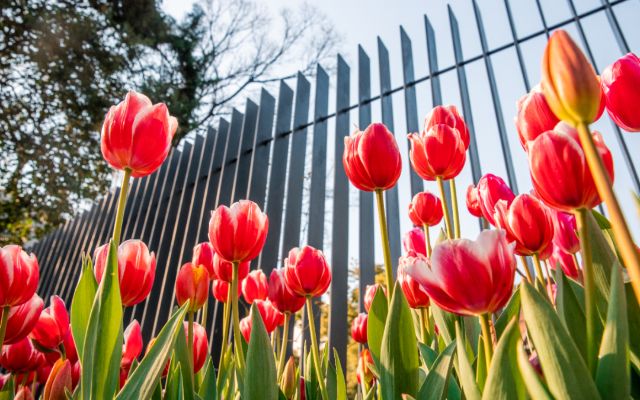 0220_132308_919.jpg 微信图片_2025-02-20_132404_809.png